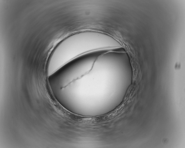 X0000092260050200709141034
