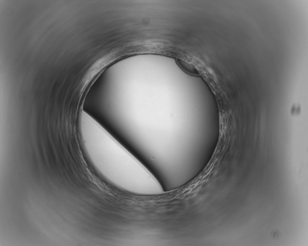 X0000092260051200709141034