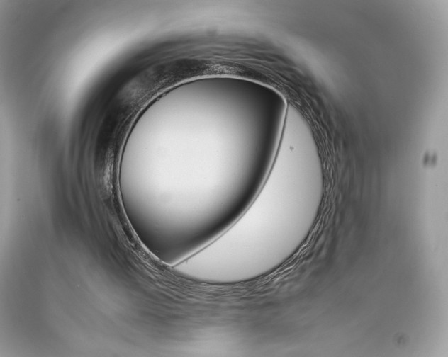 X0000092260052200709141034