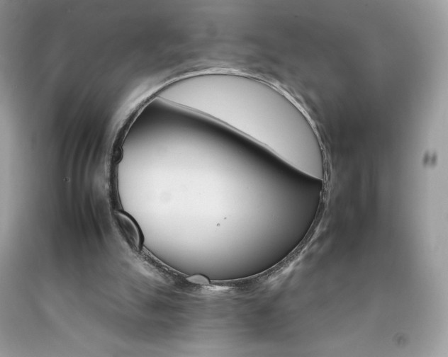 X0000092260055200709141034