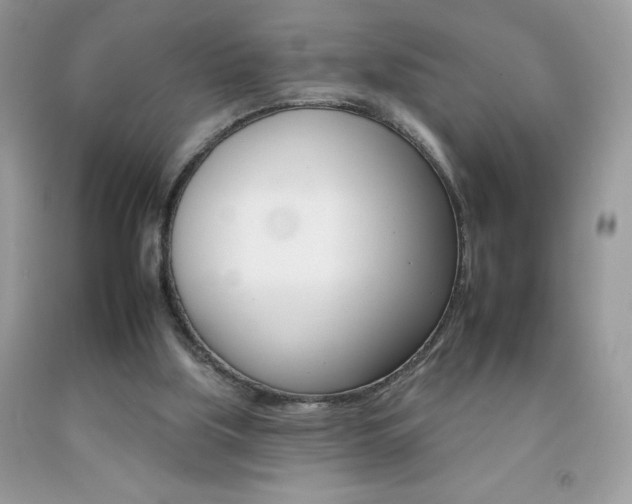 X0000092260059200709141034