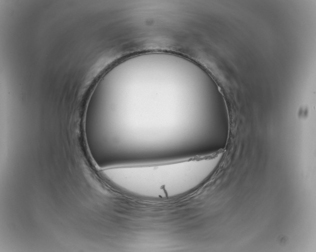 X0000092260060200709141034