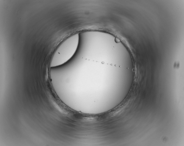 X0000092260061200709141034