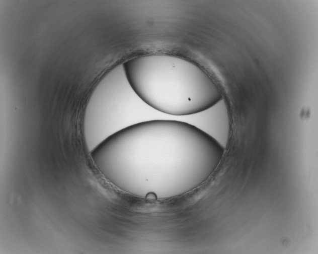 X0000092260065200709141035