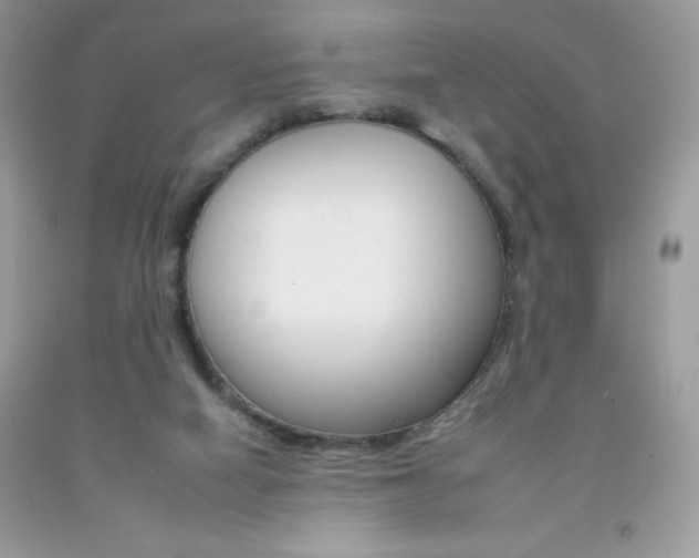 X0000092260066200709141035