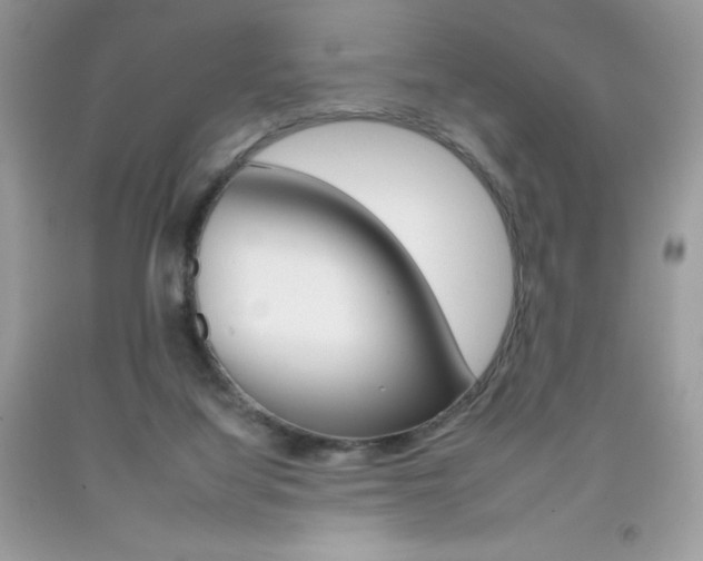X0000092260068200709141035