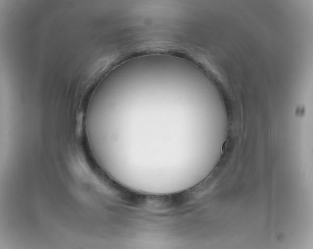 X0000092260070200709141035