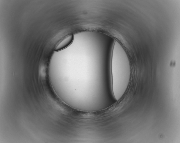 X0000092260071200709141035