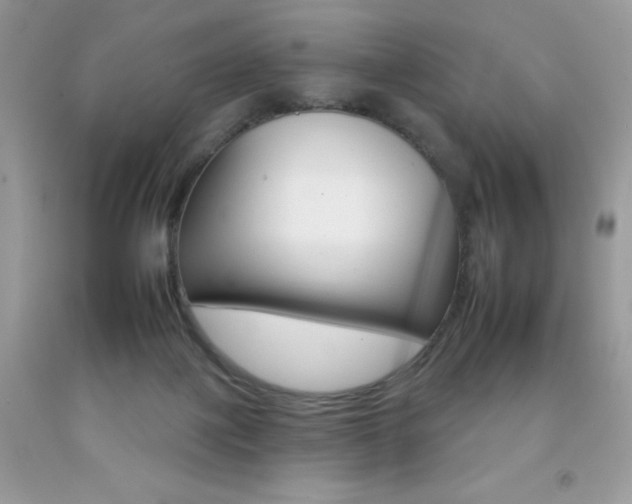 X0000092260075200709141035