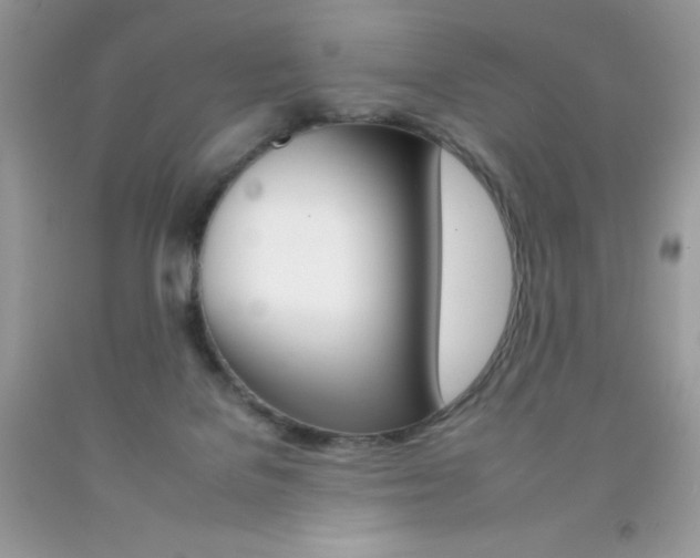 X0000092260076200709141035