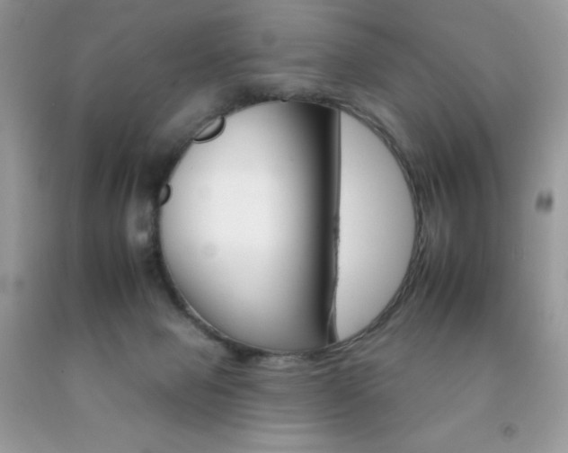 X0000092260077200709141035