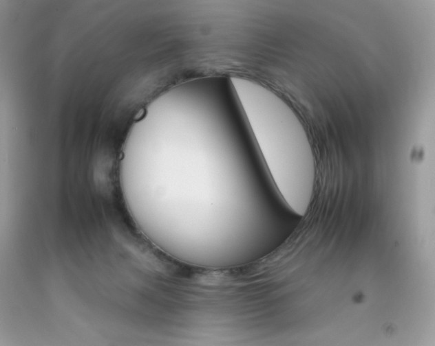 X0000092260079200709141035