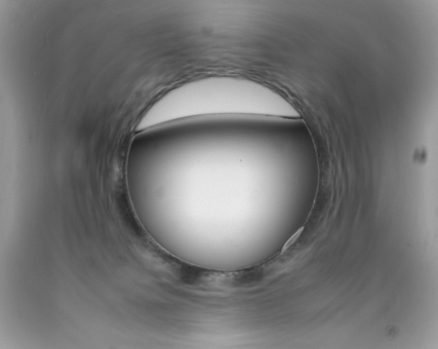 X0000092260084200709141035