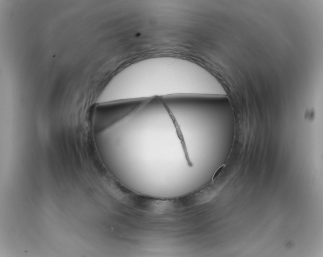X0000092260085200709141035