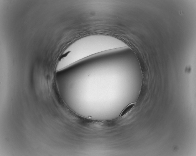 X0000092260086200709141035