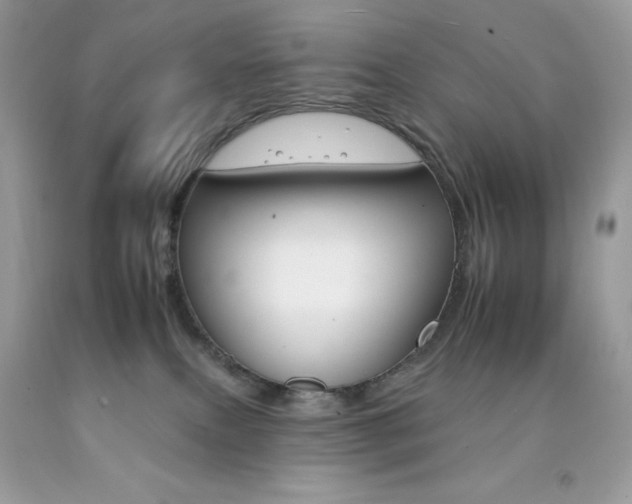 X0000092260087200709141035