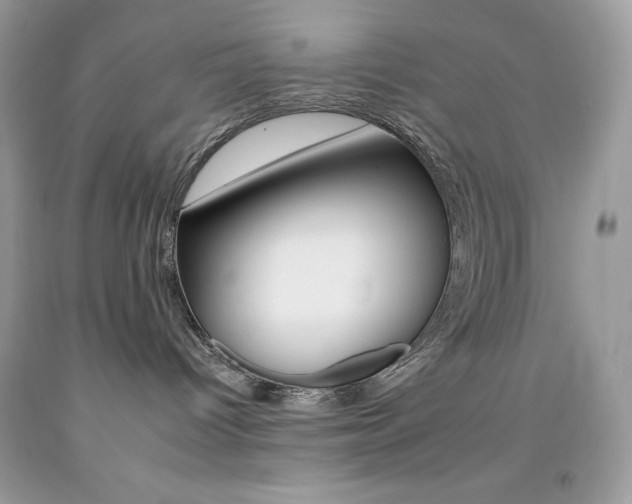 X0000092260096200709141035