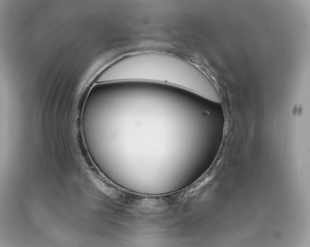 X0000092260101200709141034
