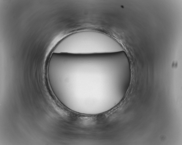 X0000092260102200709141034