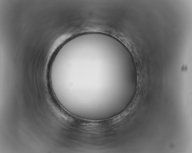 X0000092260104200709141034