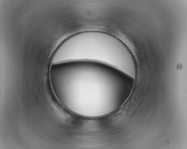X0000092260107200709141034