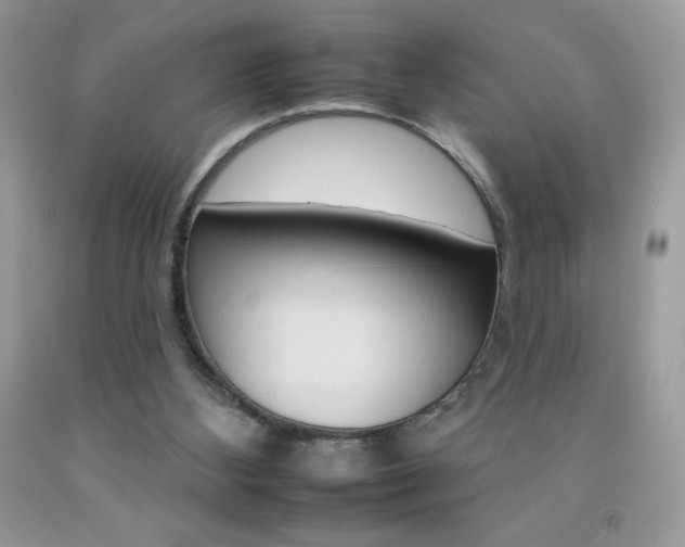 X0000092260108200709141034
