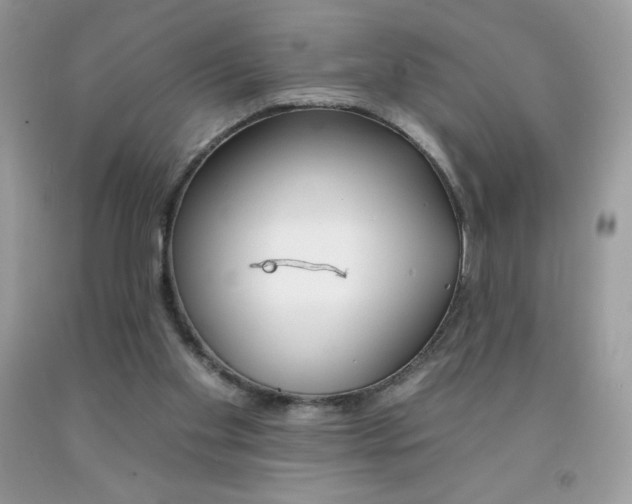X0000092260109200709141034