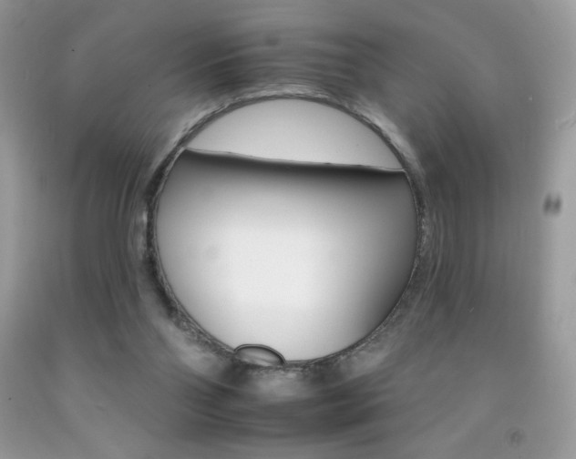 X0000092260110200709141034