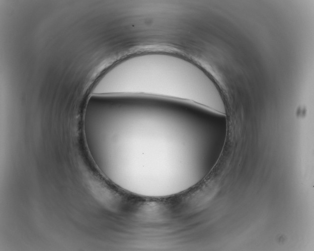 X0000092260111200709141034