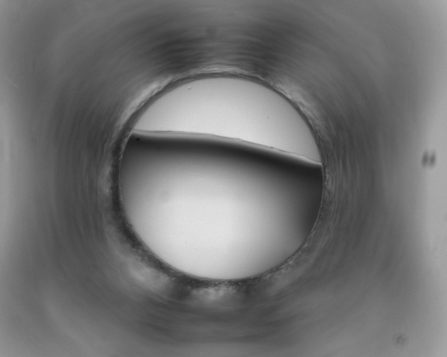 X0000092260112200709141034
