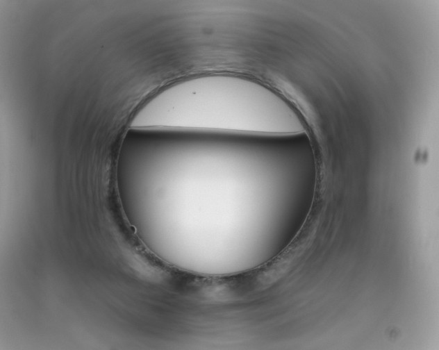 X0000092260113200709141034