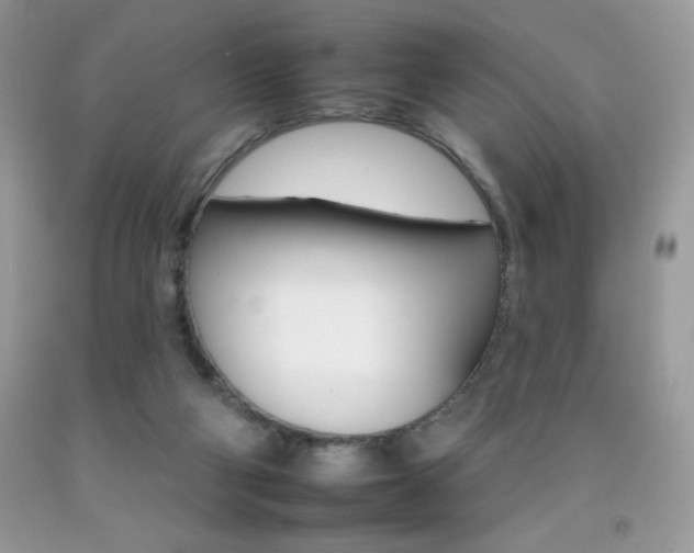 X0000092260114200709141034