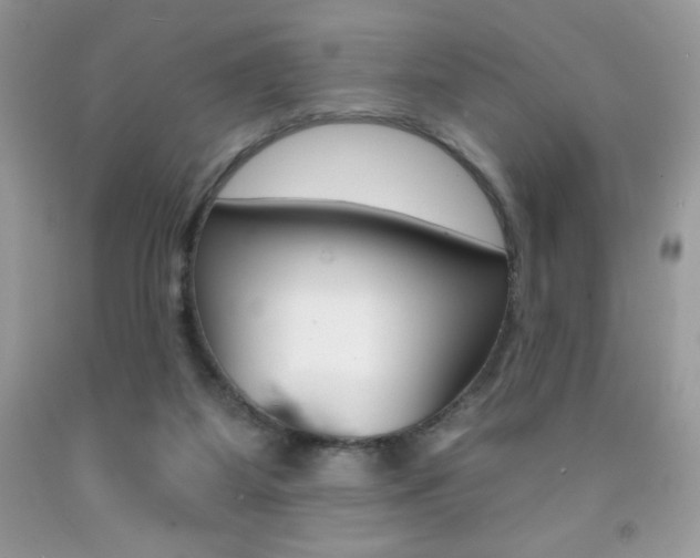 X0000092260115200709141034