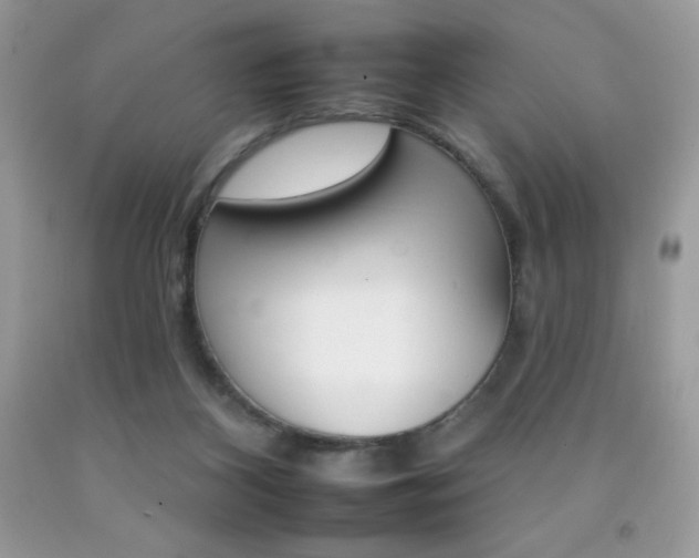 X0000092260116200709141034