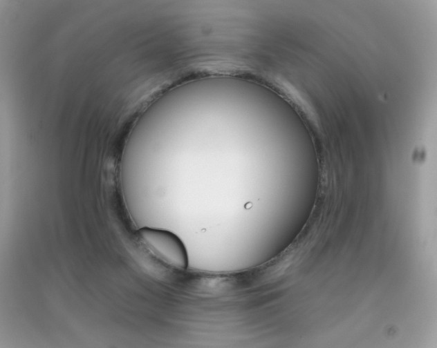 X0000092260117200709141034
