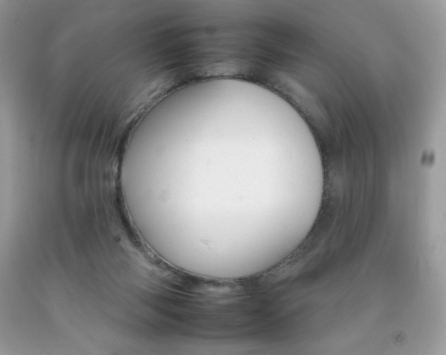 X0000092260118200709141034