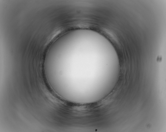 X0000092260120200709141034