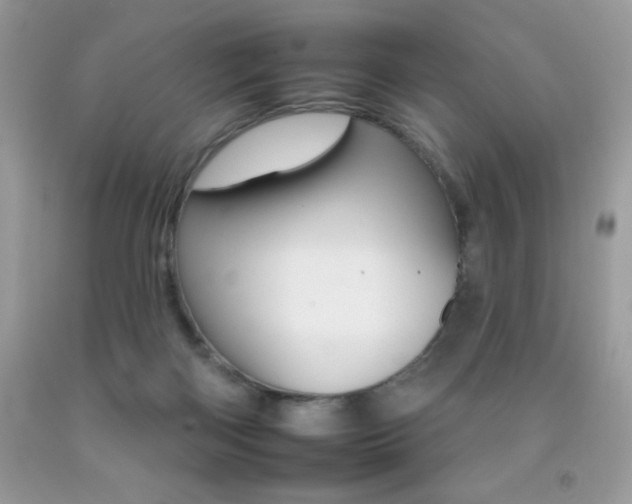 X0000092260122200709141034