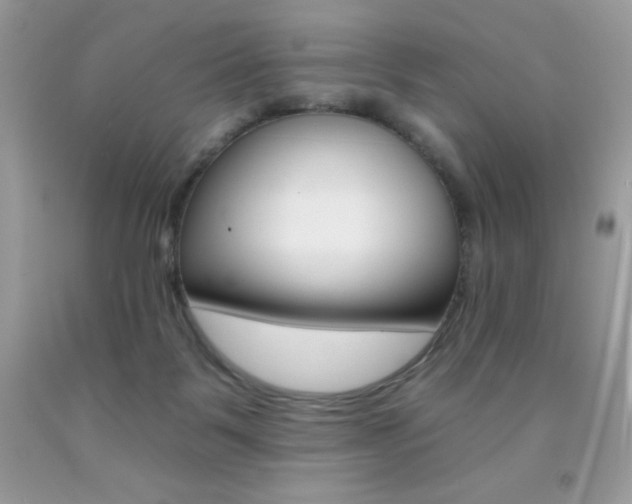 X0000092260123200709141034