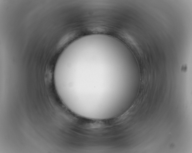 X0000092260124200709141034