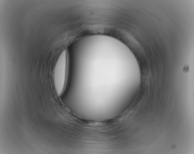 X0000092260125200709141034