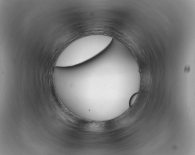 X0000092260126200709141034
