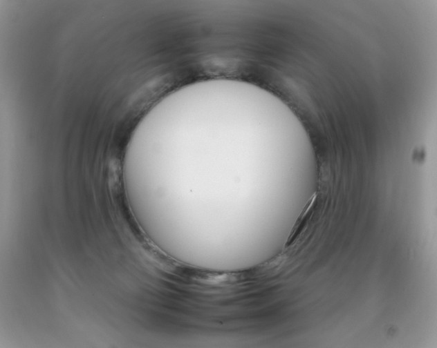 X0000092260130200709141034
