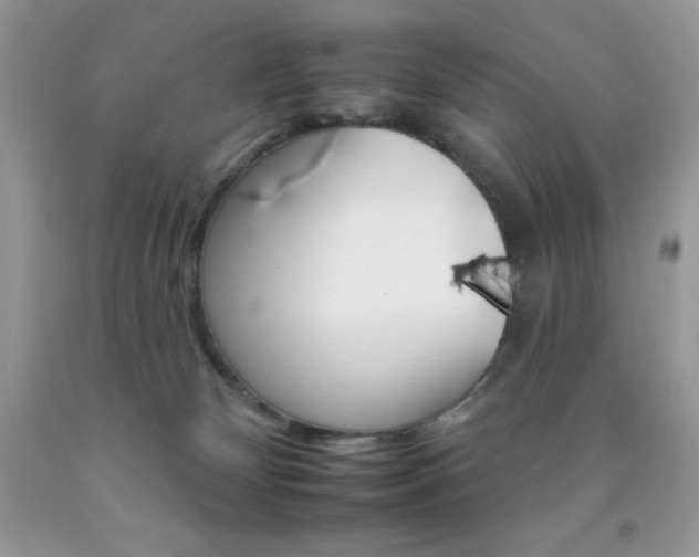 X0000092260132200709141034