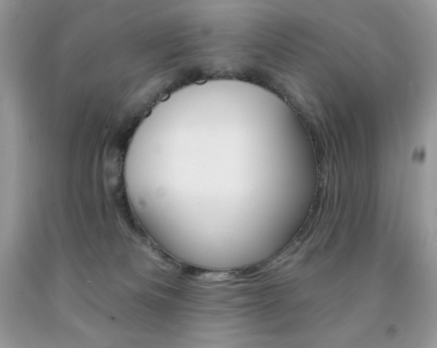 X0000092260133200709141034