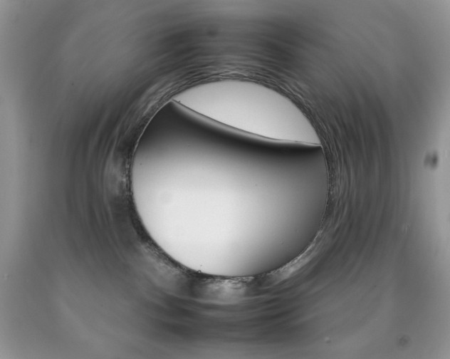 X0000092260140200709141034
