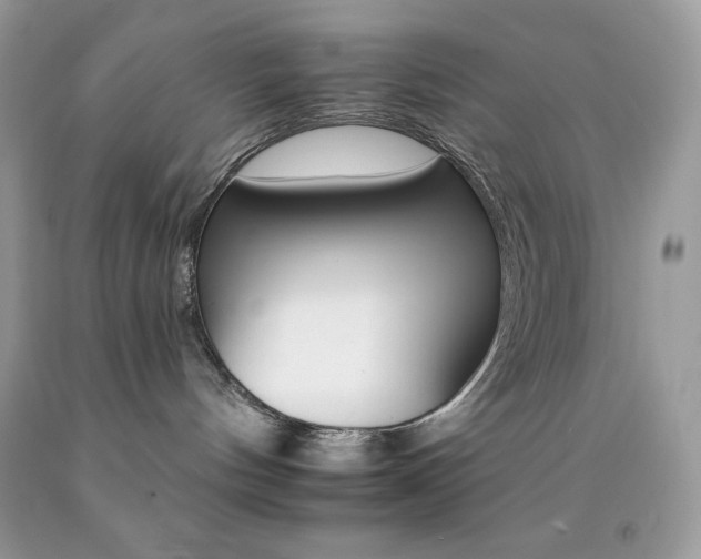 X0000092260144200709141034