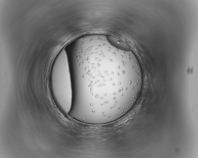 X0000092260145200709141033