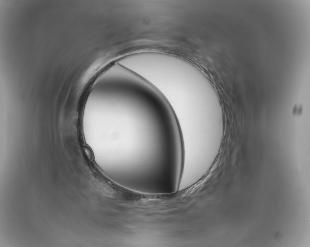 X0000092260150200709141033