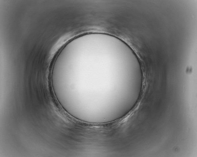 X0000092260151200709141033